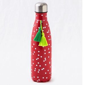 New AE Aerie Design Clique Stainless Water Bottle